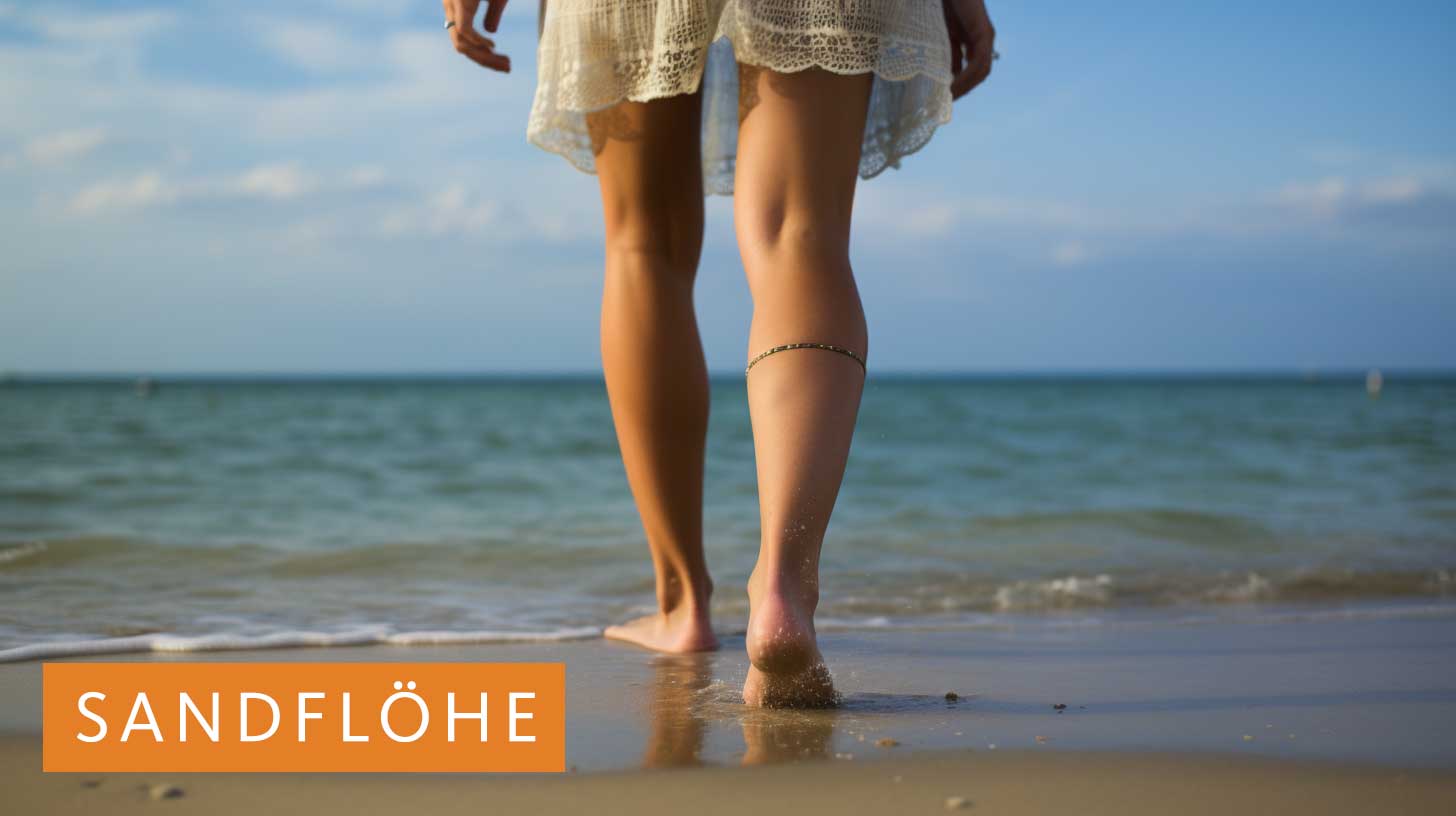 Sandflöhe – Eine lästige Plage